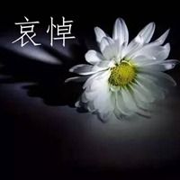 古风 悼高中陈会班长 张明军（图3）