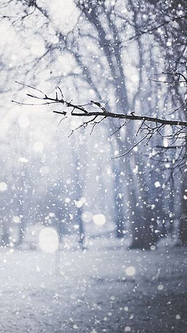 推荐欣赏【九江文学社:北京头条】《雪花颂》文/书乐(原创首发)(图3)
