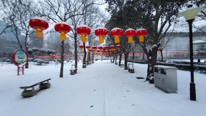【新诗大观】踏雪游园||文/金粉玉蝶||摄影/阿涛(图3)