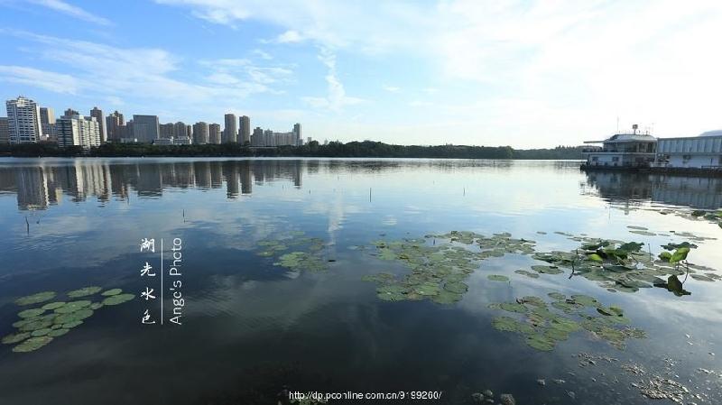 七绝四首（新韵）作者:王新华（河北）【冰心文化传媒】（图6）