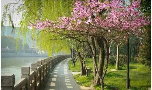 北美翰苑：49期｜现代诗歌合辑｜海外头条（图4）