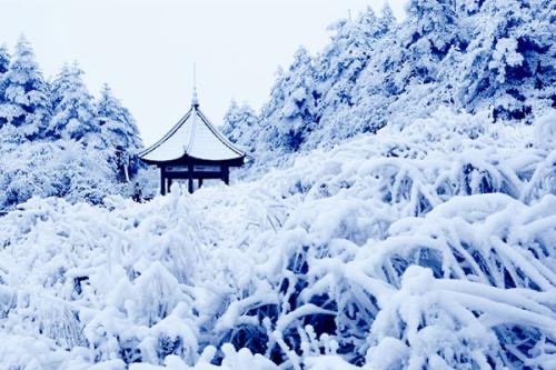 北美翰苑：49期｜现代诗歌合辑｜海外头条（图9）