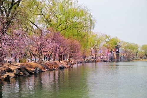 北美翰苑：49期｜现代诗歌合辑｜海外头条（图29）