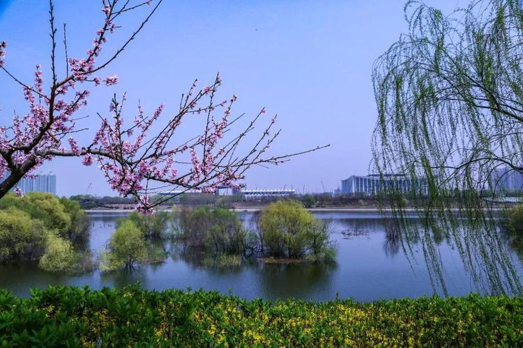 北美翰苑：49期｜现代诗歌合辑｜海外头条（图22）
