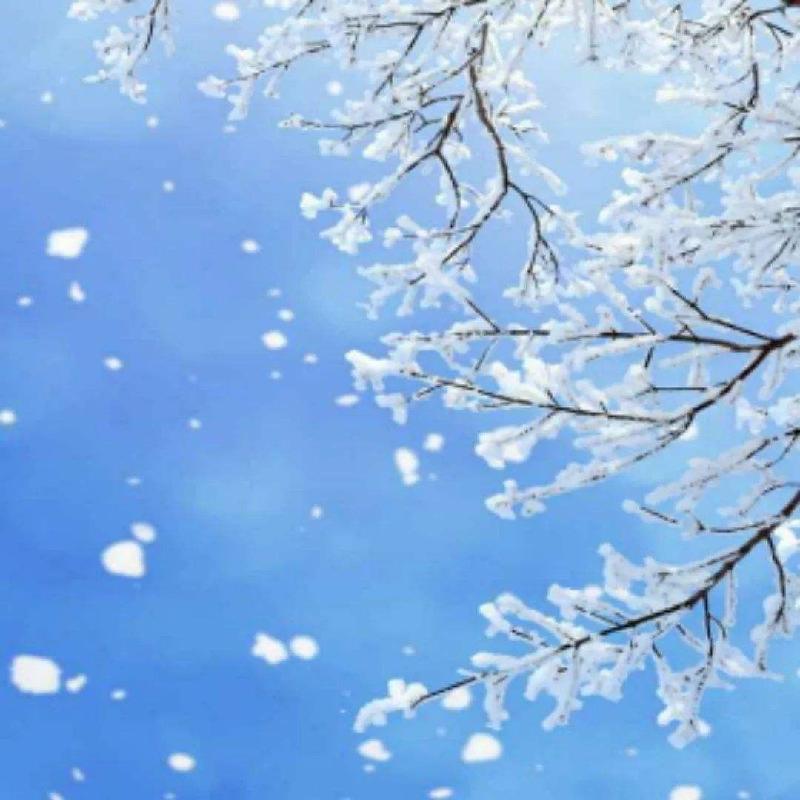 【雪】作者/朗诵/赵兰