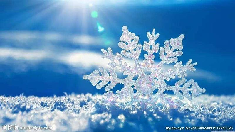 【雪】作者/朗诵/赵兰（图5）