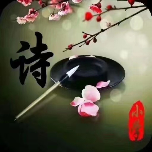 力荐精彩诗歌三首 作者/牟净文 制作/主编刘艳英【都市头条采菊东篱文学社】（图2）