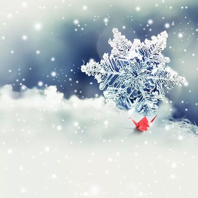 《飞雪中的遐想》作者:吴卫东,金牌主播:优雅,编辑:宋梅【中国长江文学社】有声文学平台第3234期(图4)