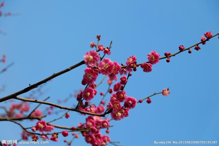 推荐【神州源流诗苑】总第550期 [优秀近体诗]周刊（图11）
