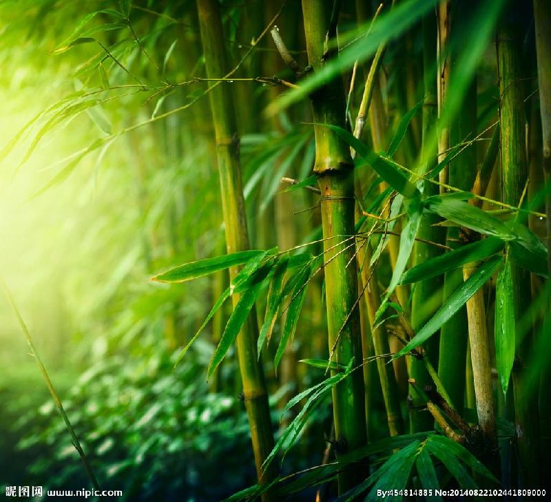 墨鬼七律（新韵）第七十三辑第三0三组【冰心文化传媒】（图5）
