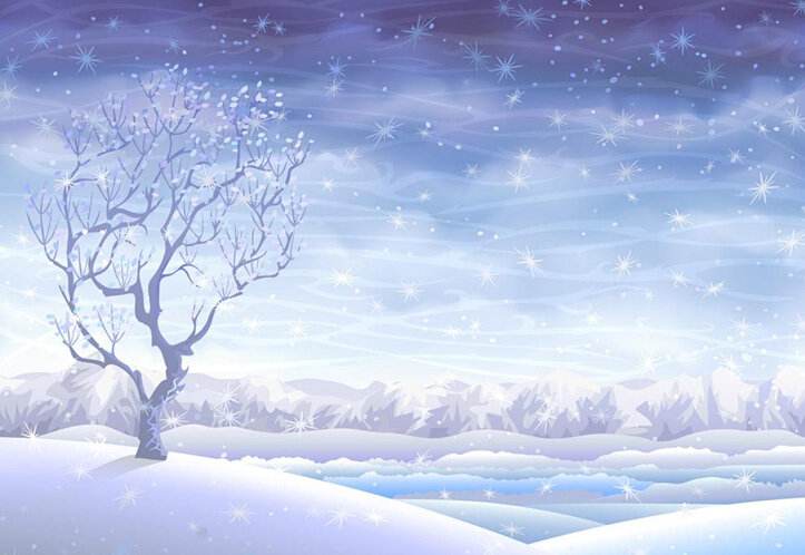 【雅诗总会】佳篇★荷&雪‖诗人张维清（图3）