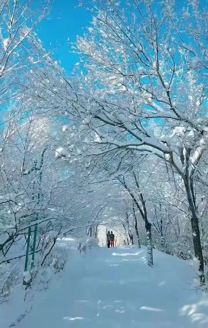 联机全球发布吴春元精品诗歌（图16）