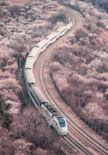 【桃源馨声】空空的列车‖作者:白族野夫‖主播:青苗【总1060期】(图4)