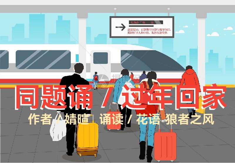 婧暄诗歌ll过年回家ll同题诵(图2)