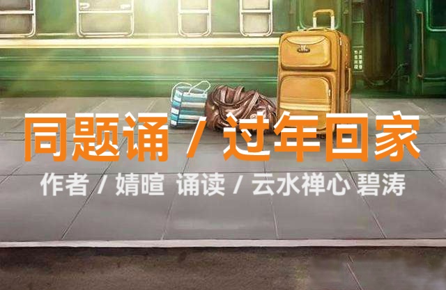 婧暄诗歌ll过年回家ll同题诵（图4）