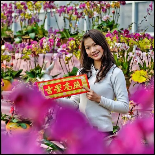 【桃源馨声】迎春接福‖作者:何笑天‖主播:芳草青青【总1061期】(图6)