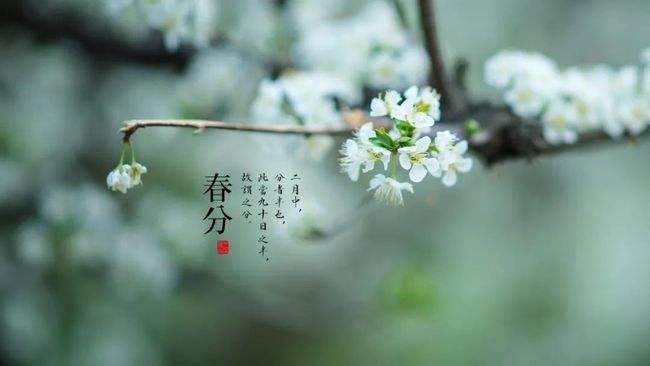 〔诗词辑〕作者 李文清(北京)【冰心文化传媒】制作 冰心(图6)