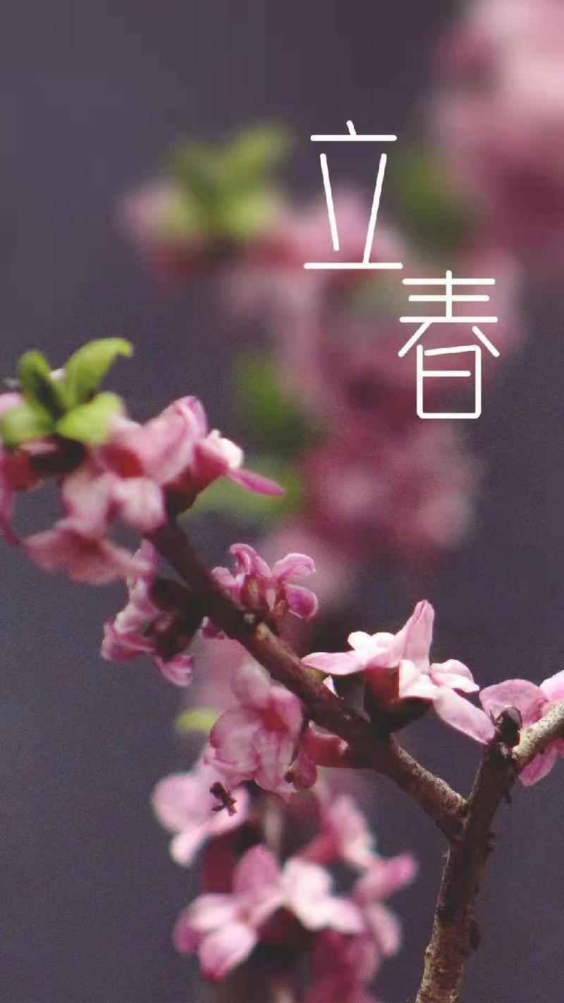 北京冬奥会Ⅱ文/赵京江，图/网络