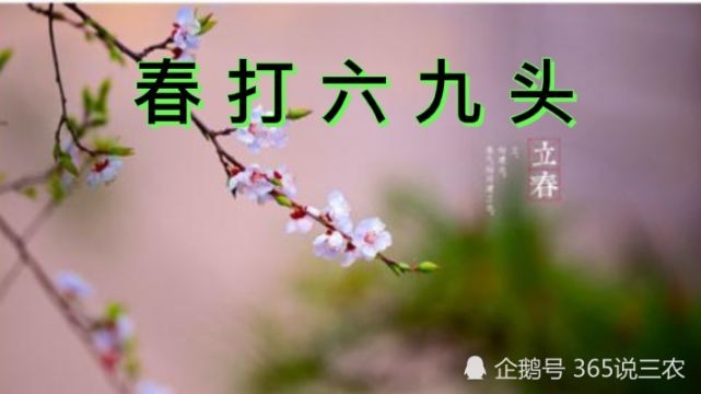 〔诗词辑〕作者 李文清（北京）【冰心文化传媒】制作 冰心（图3）