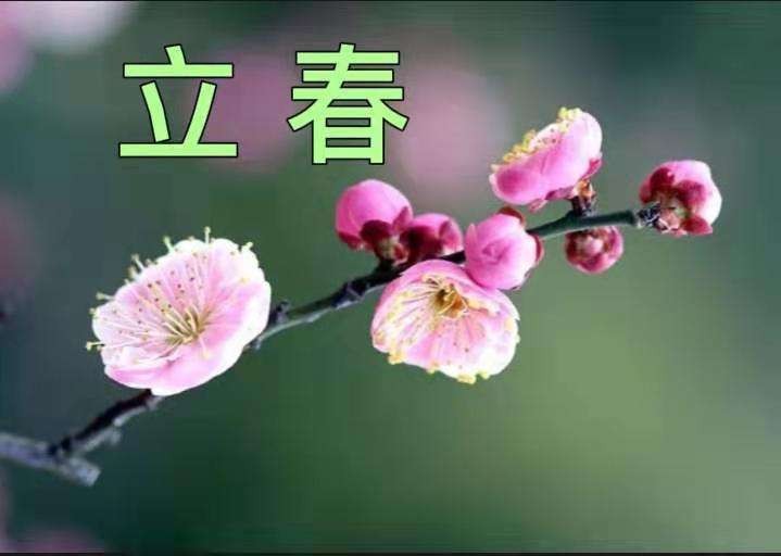 〔诗词辑〕作者 李文清(北京)【冰心文化传媒】制作 冰心(图5)