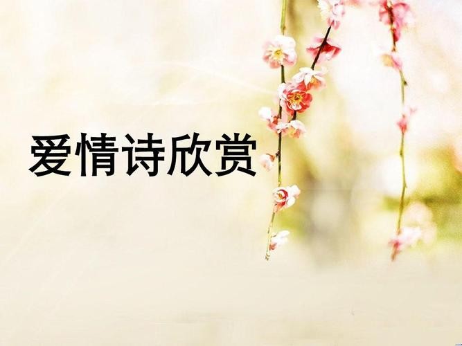《老婆》作者: 张维清【金牌主播 远赴英伦】【华人诗者联盟】朗诵专刊 总第二百三十二期(图5)