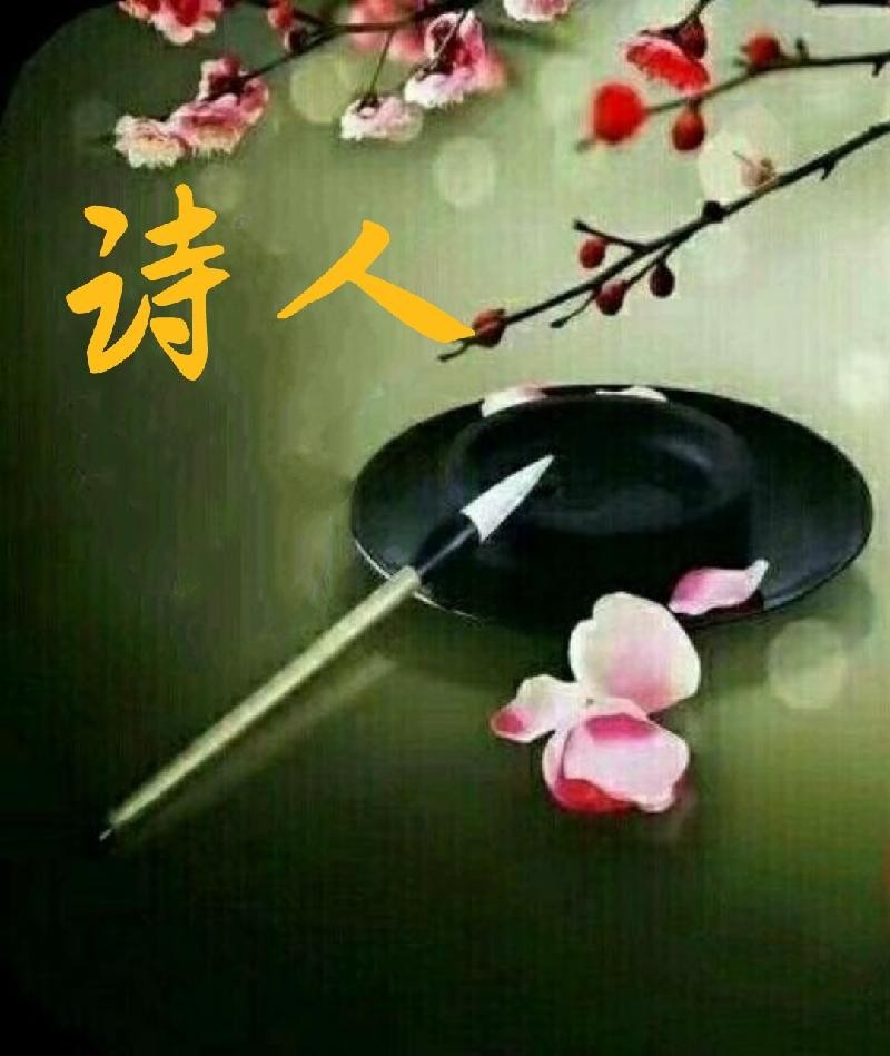 《老婆》作者: 张维清【金牌主播 远赴英伦】【华人诗者联盟】朗诵专刊 总第二百三十二期(图6)