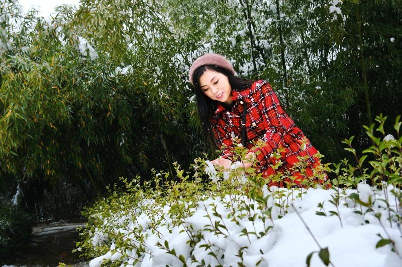 雪之恋（图6）