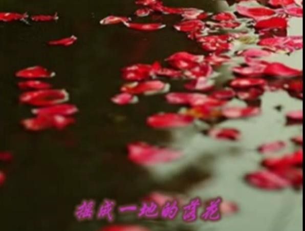 张松松老师深情演绎【为你摇成落花】作者/阿紫（图3）