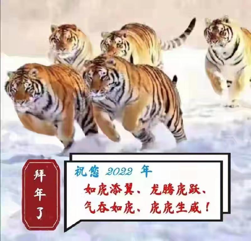 【潮声文苑】都刊004期||迎春瑞雪戏灯笼 纳福柴门笑靥红(图9)