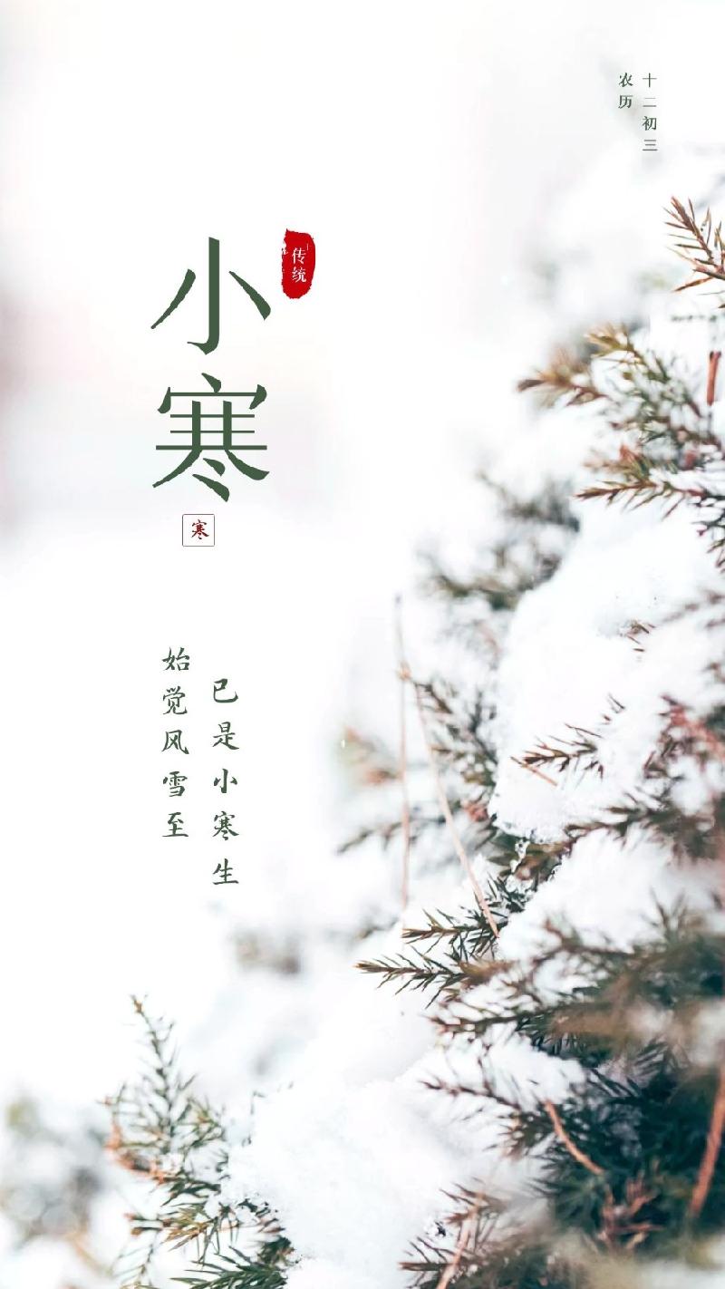 穿林带雨千山绿,跃涧寻春百卉红(集贤国际诗书画联展)(图39)
