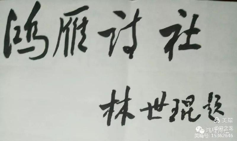 鸿雁诗社2022第2季合集新年专集2(本期上刊诗人牧丹仙子、红烛等14人)