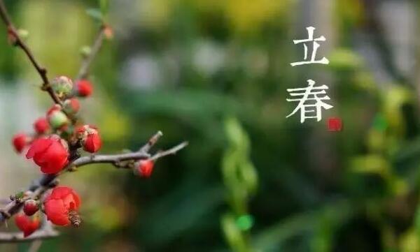 【海外诗译】精品双语合诵《春天的故事》作者|高溪溪、英译|静好、审|任诚刚、合诵|相逢一笑&薇薇(图3)