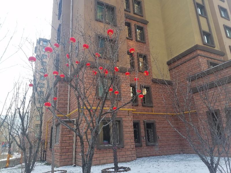 花开雪园 文/智子（青海）（11岁）京津沪头条文学平台发布（图6）