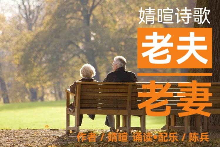 婧暄诗歌ll老夫老妻ll诵读 陈兵(图2)