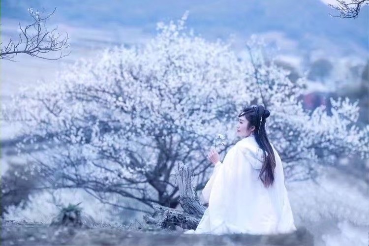 《悄然无声的一场雪》作者/庆福 主播/北秋 编辑/胡琴（图2）