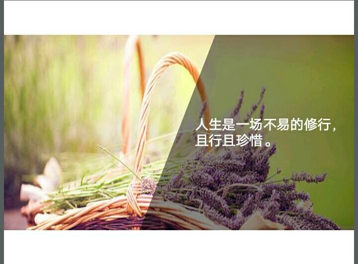 【九江文学社:北京头条】《珍惜》文/赵永江(图7)