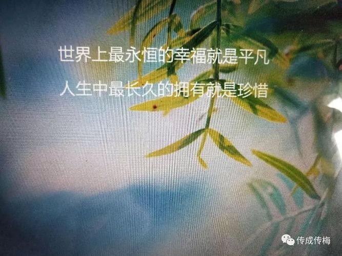 【九江文学社:北京头条】《珍惜》文/赵永江(图5)