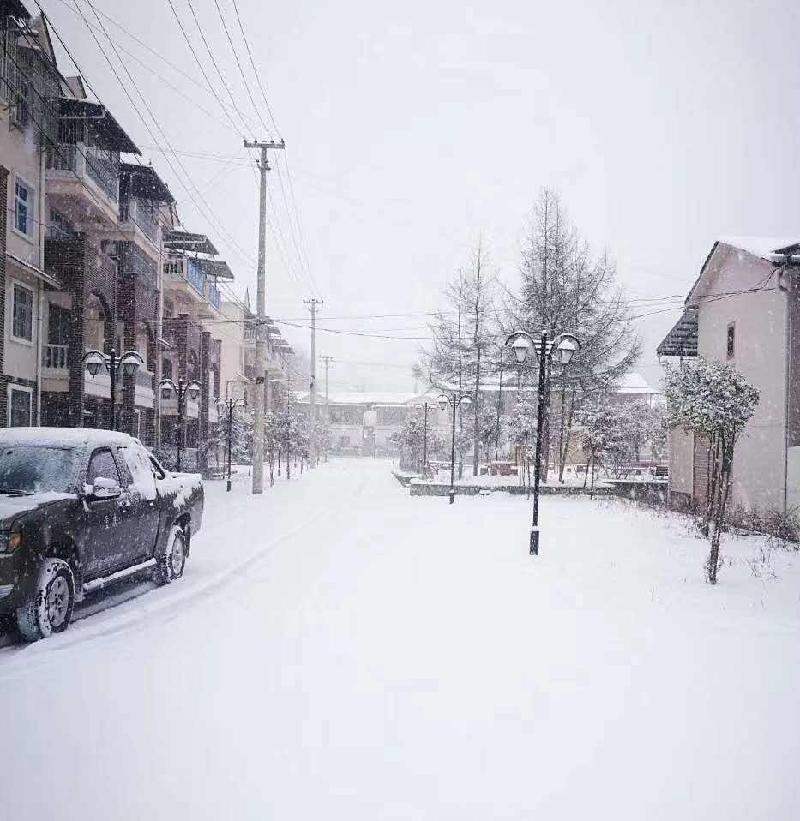 七绝•雪夜来客 文/彭开科【重庆格律诗词曲】2022第051期