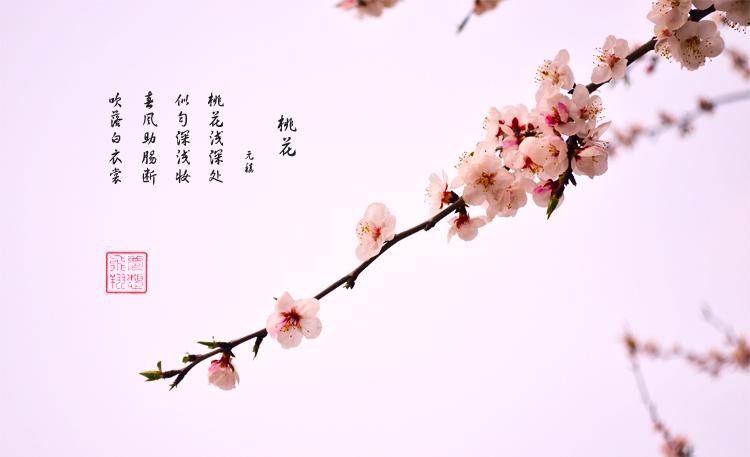 开岁年 作者 蔺峰(甘肃兰州)【冰心文化传媒】制作 冰心(图6)