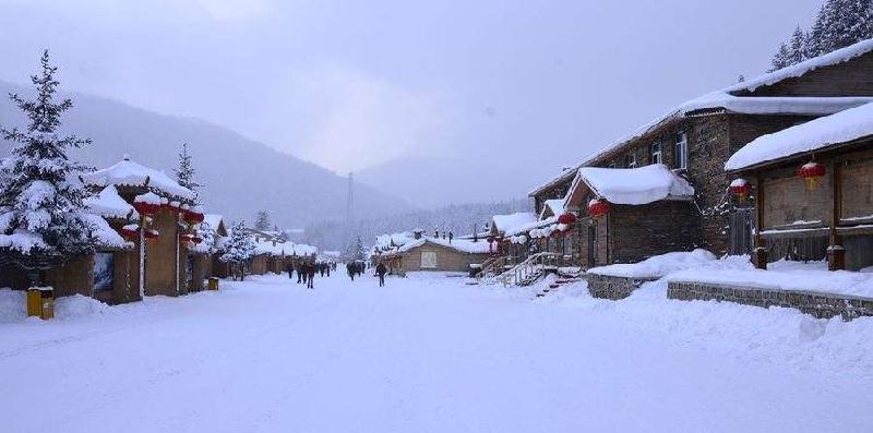 七绝:雪鄉 文/李文清(北京)【冰心文化传媒】制作 冰心(图4)