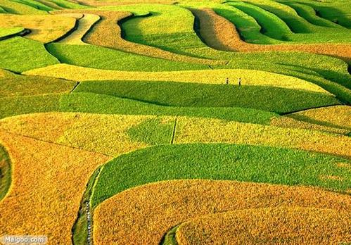 江南诗絮-0499【古韵风采】（图23）