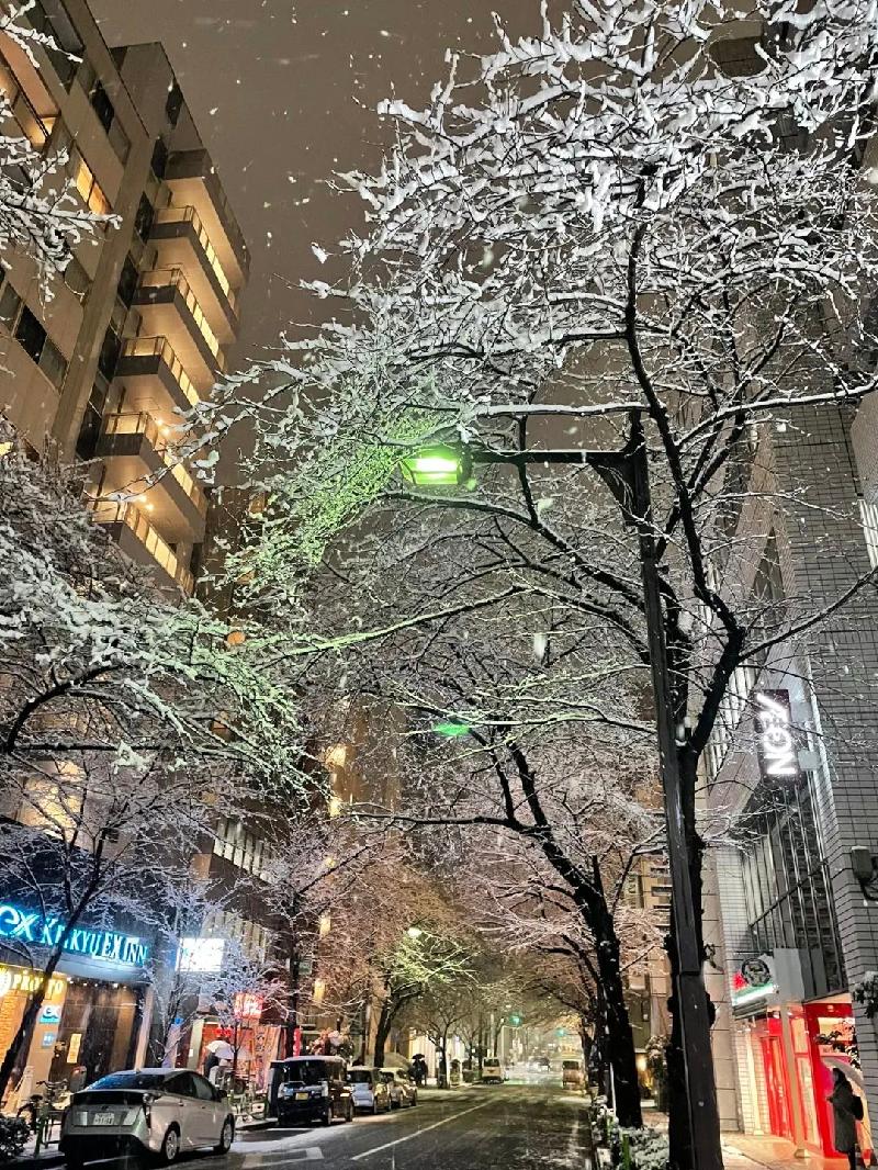 念奴娇：关东雪～文/梧桐（图4）