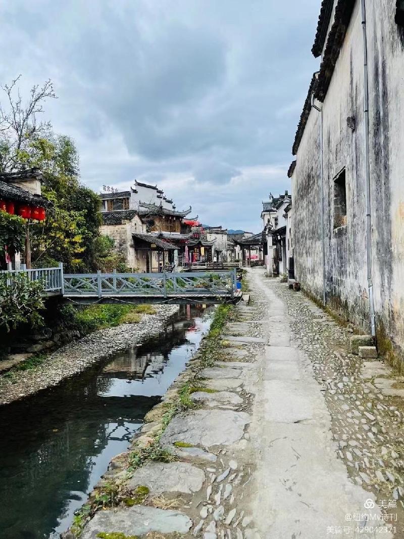 陈啊妮诗解析选读(编后记)|2022第09期(总第065期)【冰心文化传媒】制作 冰心(图8)