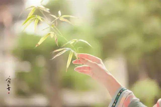 【新诗大观】在大时代,做个小人物||作者:朱德庸||主播:文嘉(图4)