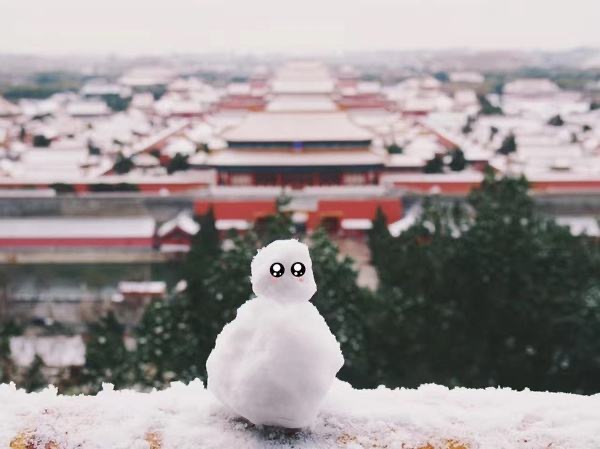 【梅园之音】听林枫朗诵《为你下雪》作者：陽光（图5）