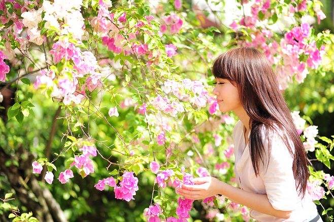【新诗大观】你的美||文/最美的时光(图2)