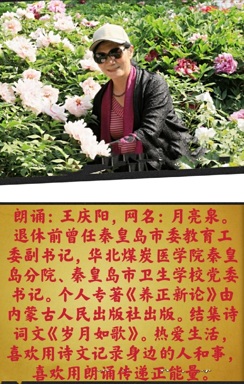 宗楠原创词作《木兰花慢•观照题赠兰州馨香若菊旗袍艺术团姐妹》||主播/月亮泉||陕甘青藏头条（图10）