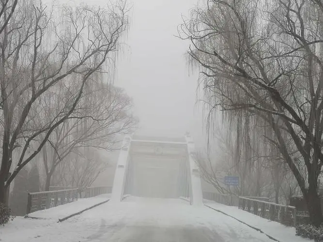 【桃源馨声】二月的雪‖作者:雪原(甘肃)主播:青草味儿【总1066期】(图5)