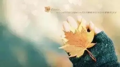 【新诗大观】“情人节”遐想||文/张道发||诵/李保红(图2)