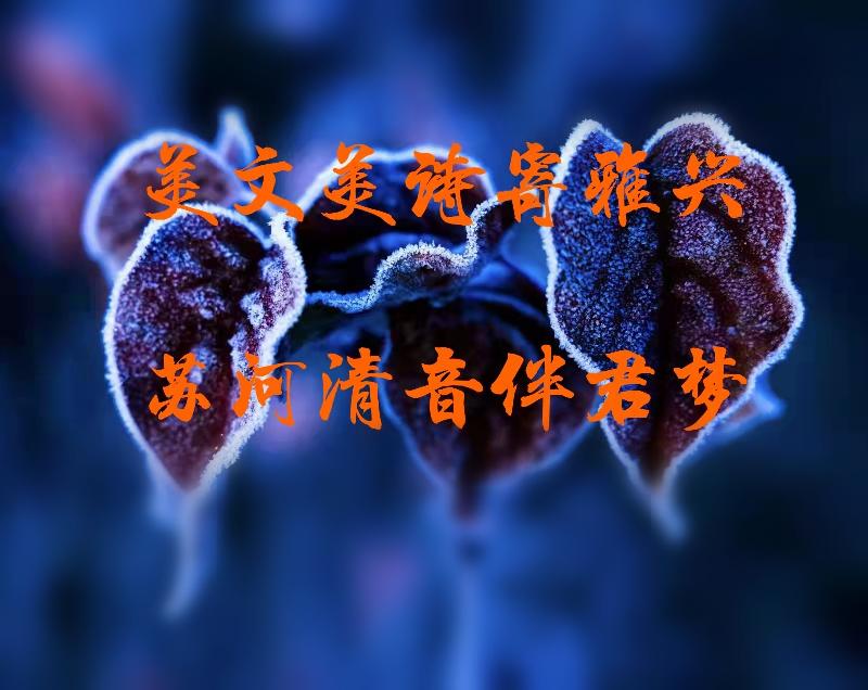 【苏河清音】邴文侠 实者《冰窗花》上海头条【第651期】（图10）